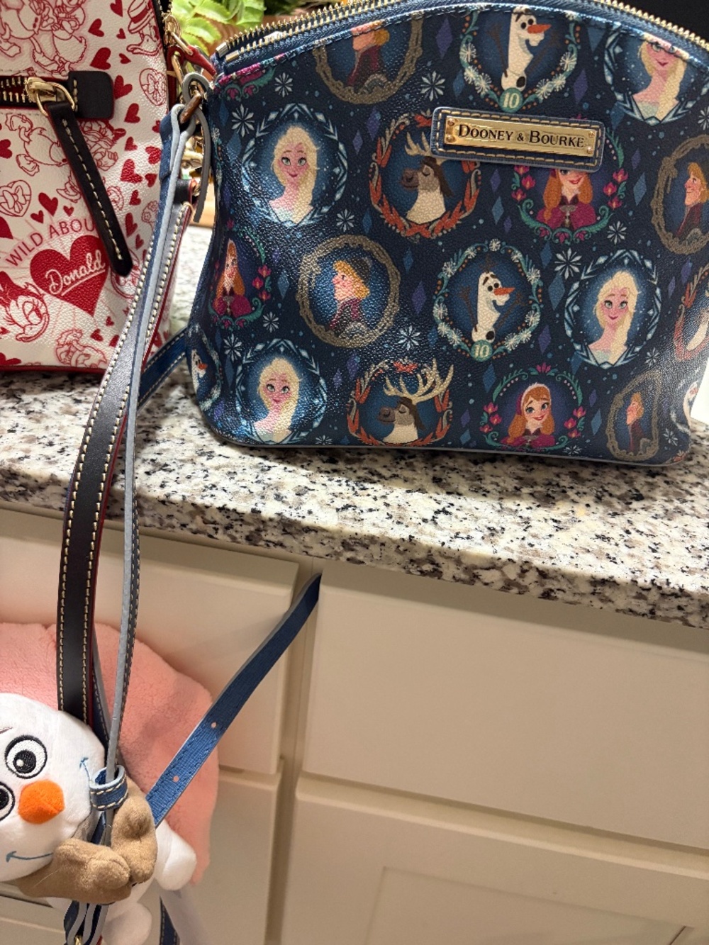 Dooney and Bourke
